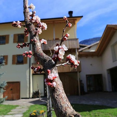 Ferienhof Weingenuss Apartment Cortina Sulla Strada del Vino Екстериор снимка