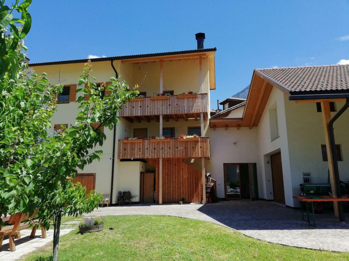 Ferienhof Weingenuss Apartment Cortina Sulla Strada del Vino Екстериор снимка