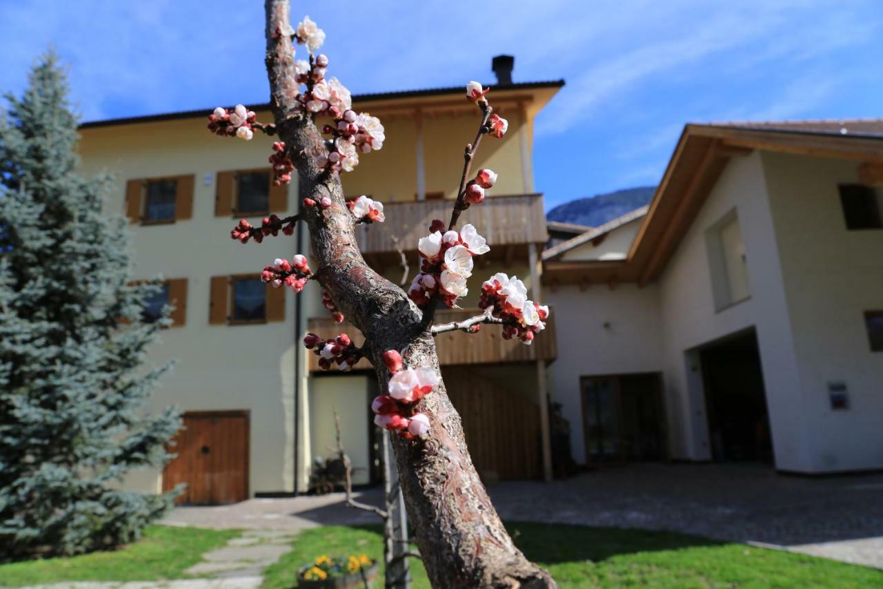 Ferienhof Weingenuss Apartment Cortina Sulla Strada del Vino Екстериор снимка